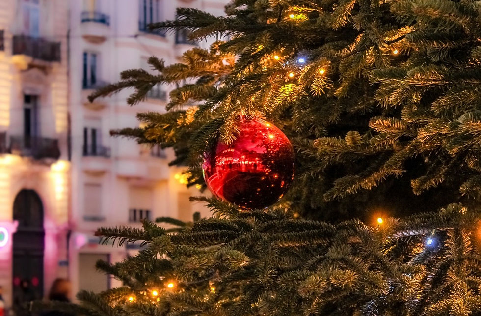 Sapin de Noël / Méline Grespan 