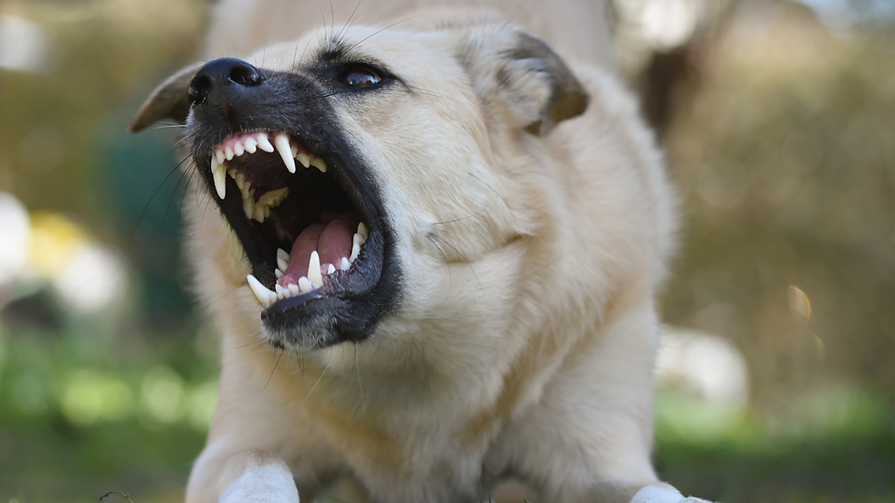 L'actrice a été blessée au mollet / Image libre de droits