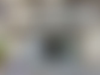 Après 45 ans dans le centre-ville, Photo Comédie déménage à Lattes