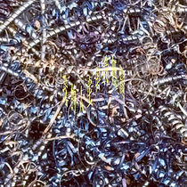 <14th> 我的人生與我無關