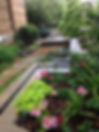 Lowry Neighborhood Backyard
