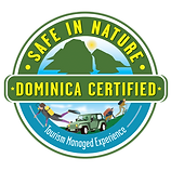 safe in nature logo.png