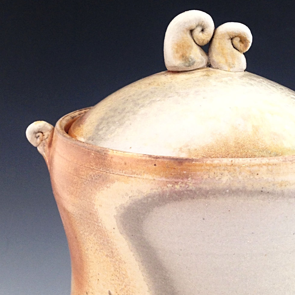 wood fired pottery jar with spiral accents
