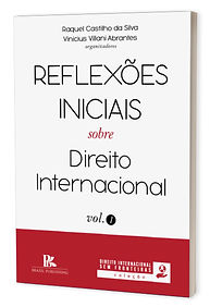 reflexoes-iniciais-sobre-direito-internacional-vinicius-villani.jpg