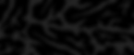 Settele_Hintergrund_Abschnitt_schwarz.png