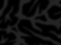 Settele_Hintergrund_Fotoslider.png