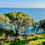 Miniature : Villa all'Isola d'Elba