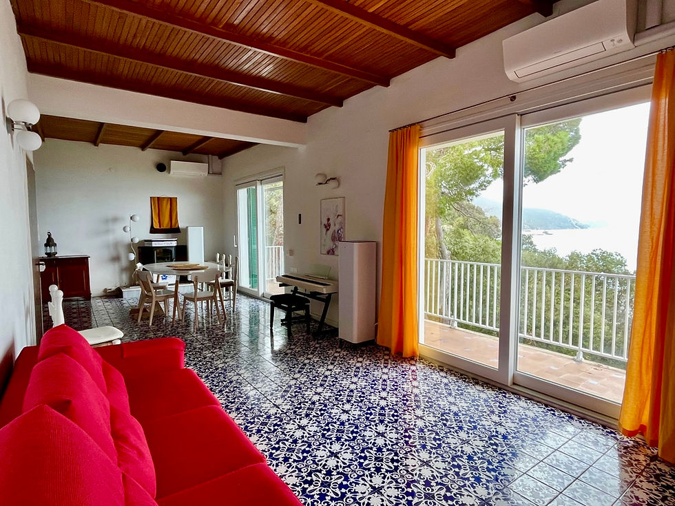 Thumbnail: Villa all'Isola d'Elba