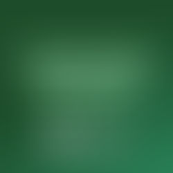 ATA DE SORTEIO DE MEMBROS DA COMISSÃO ELEITORAL E PUBLICAÇÃO DAS DECISÕES DE IMPUGNAÇÕES DA COMISSÃO ELEITORAL.