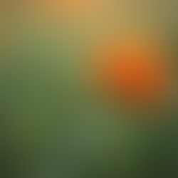 A Inteligência Artificial Está Fazendo Menos e o Sistema Está Fazendo Mais