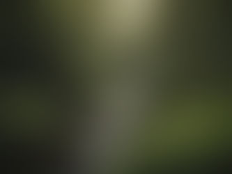 Por que não deixo meus filhos verem shorts no YouTube: Proteção e Educação Digital