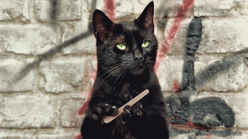 gif individuo.gif