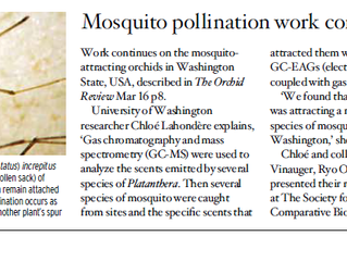 The Orchid Review