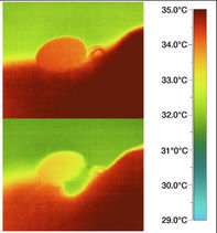 New paper on ticks thermoregulation