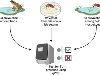New paper now out in Parasites and Vectors!