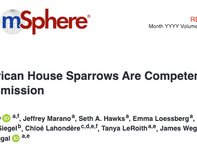 New paper on Usutu virus now out in mShere!