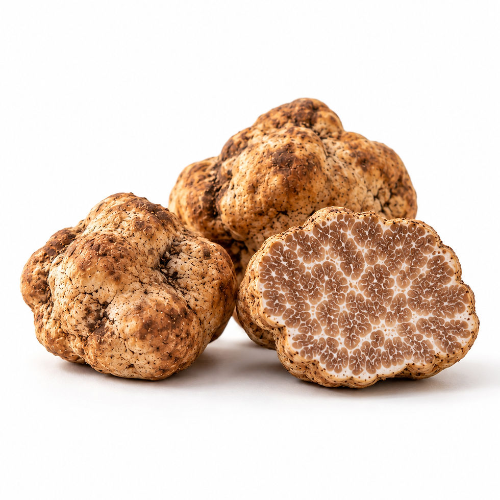 Fresh Bianchetto truffles (Tuber borchii), showing whole spring white truffles and their distinctive marbled interior