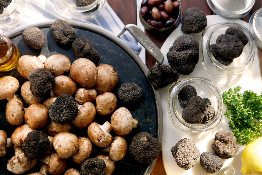 Homemade Truffle Sauce