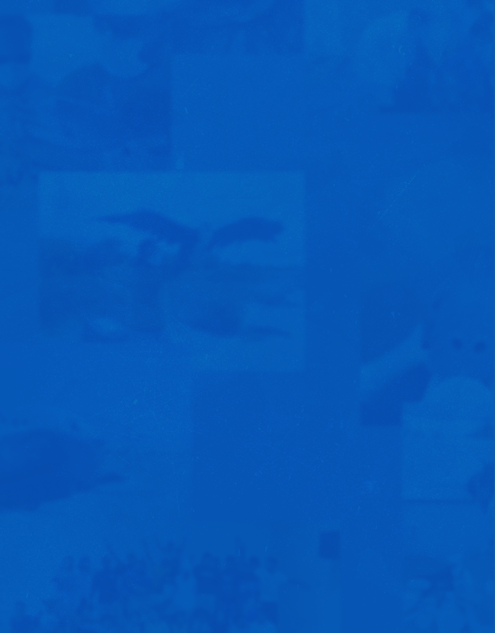 Group 1171274903.png