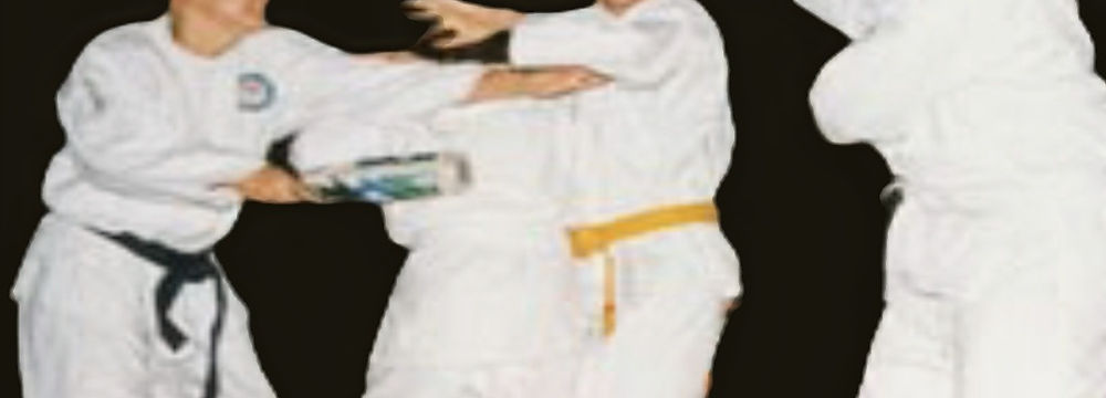 Lii-Kan Jitsu Training