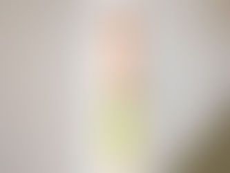 Janisol Metalltüren