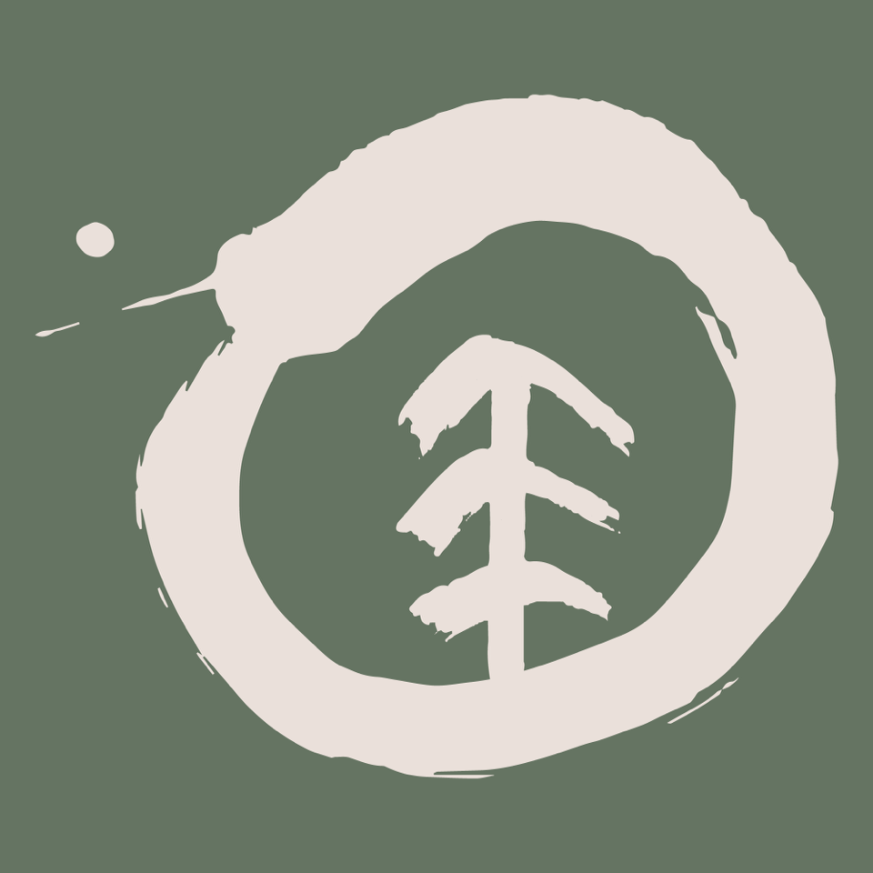 be at ease with Shinrin Yoku | Forest Bathing | Zurich, Switzerland