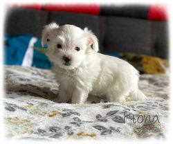 343780451_1551934218663420_7871864143275996452_n (1)