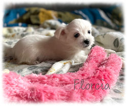 343801859_770989221413061_862991434774135757_n (1)