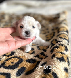 340258400_1916692612036572_2113319130656541366_n