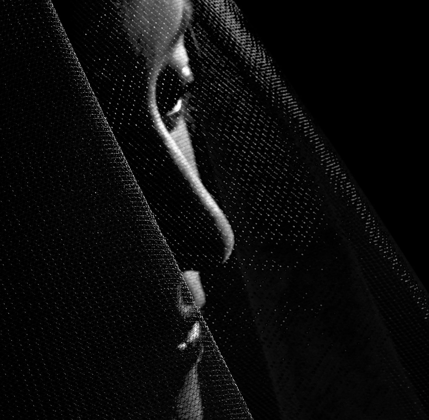 Close-up black and white portrait detail by Elin Shu, Orange County portrait photographer
