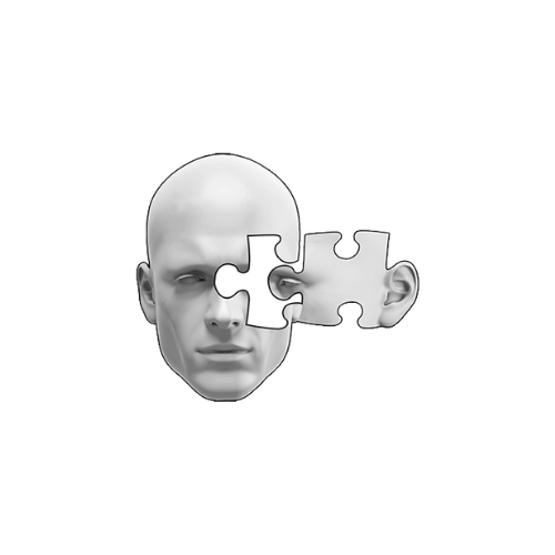 The Center for Alloplastic Facial Reconstruction