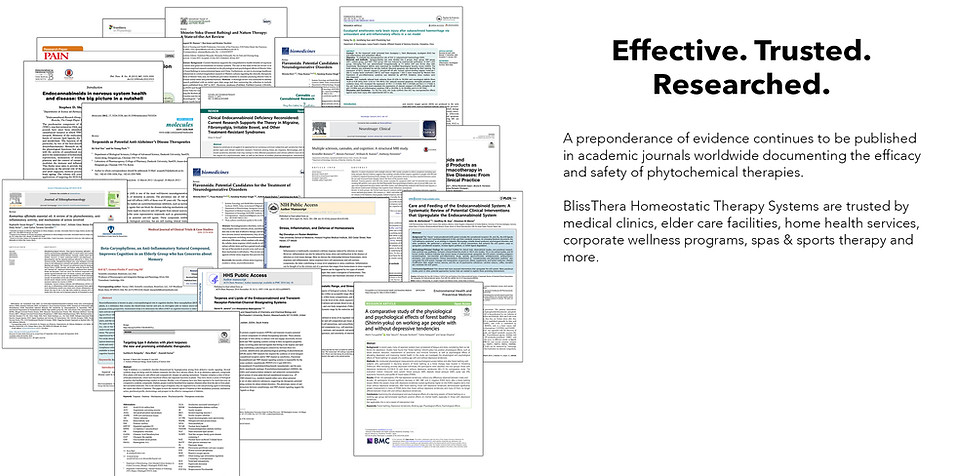 BlissThera-therapy-research-papers-w-copy.jpg