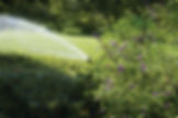 Sprinkler residential