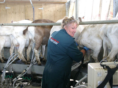 Raewyn%20and%20goats_edited.jpg