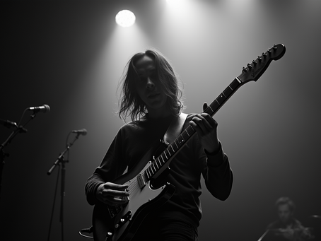 Building Your Career as a Professional Musician