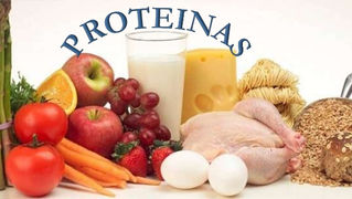 ¿Cuánta proteína tu realmente necesitas para construir músculo?