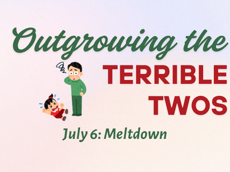 From Toddler Tantrums to Adult Meltdowns: A Biblical Guide to Managing Anger
