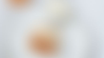 Stroopwafel sandwich ijsjes