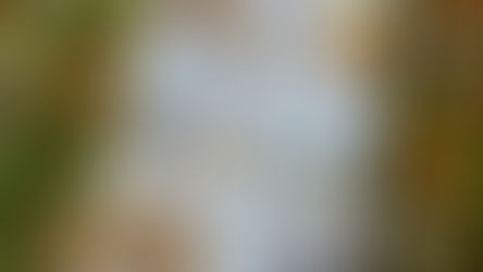 Onder de pannen met StreetSmart