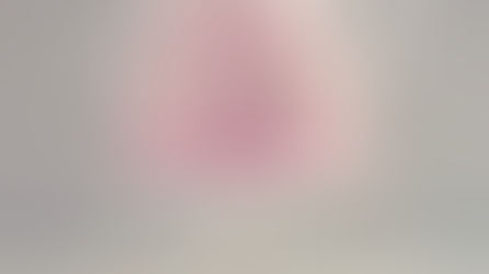 Taarten in stijl van Monique Rump