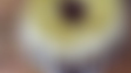 Chocolade chilipeper cake in zelfgemaakte bundtcakevorm