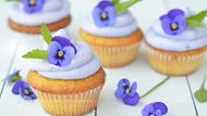 Vanille cupcakes met toef van viooltjessiroop