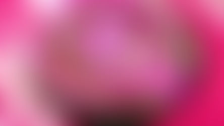 Een toef spuiten; een swirl of een roos?