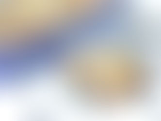 Blueberry oatmeal cookie with coconut