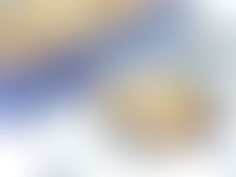 Blueberry oatmeal cookie with coconut