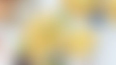 Ei in brood mee gebakken met ham en kaas