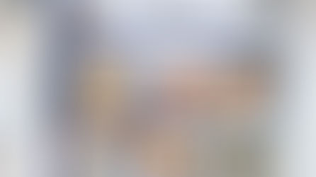 Het Nederlandse koekjesboek van Natascha van der Stelt