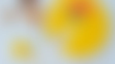 Yoghurttaart met perzik en lange vingers