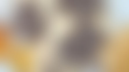 Chocolade blaadjes maken van echte bladeren.