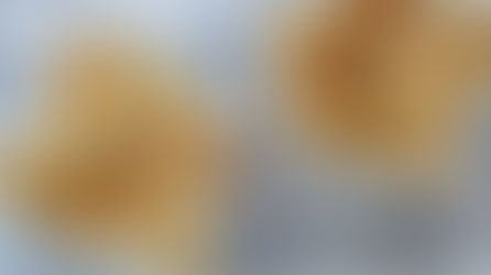 Parmaham hartige stengels